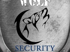 Cctv Wolf Business - Sisteme de securitate